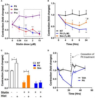 Inhibiting Airway Smooth Muscle Contraction Using Pitavastatin: A Role for the Mevalonate Pathway in Regulating Cytoskeletal Proteins